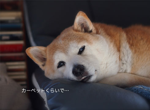 31日ブログ5.jpg