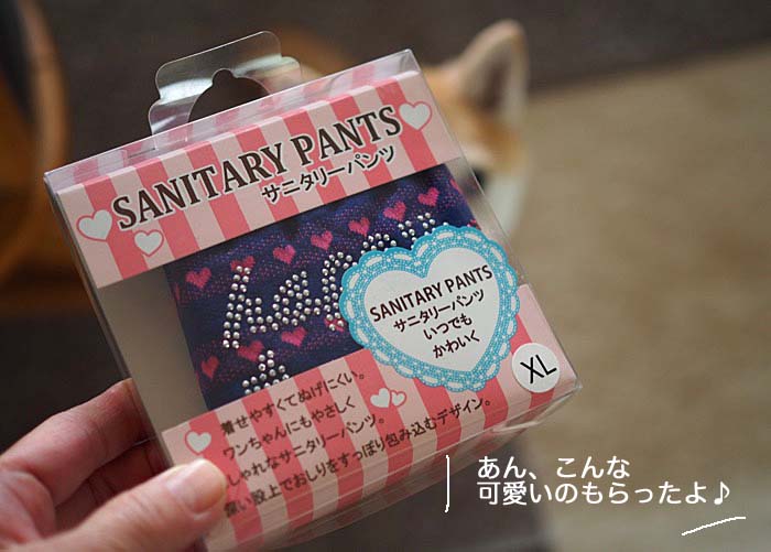 21日ブログ２
