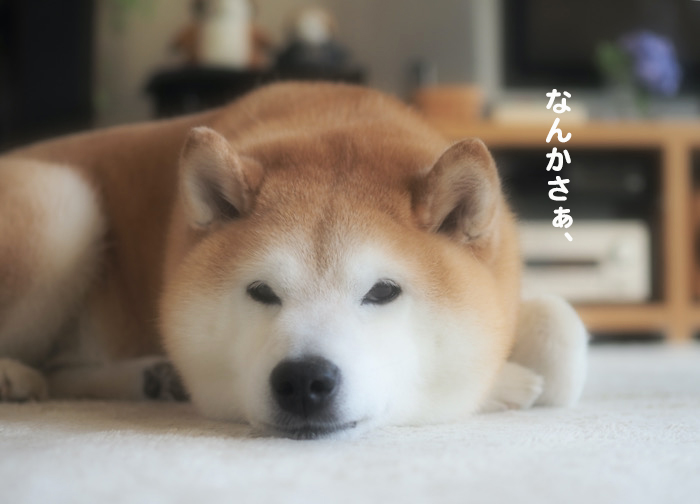 27日ブログ2