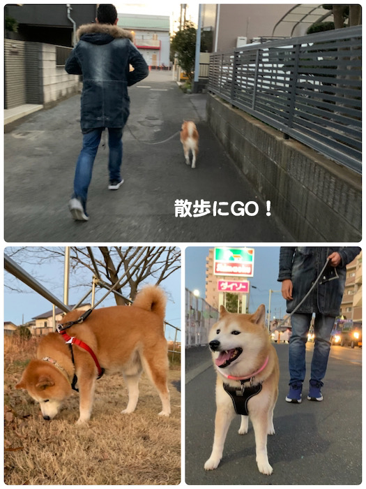 27日夕ブログ１３