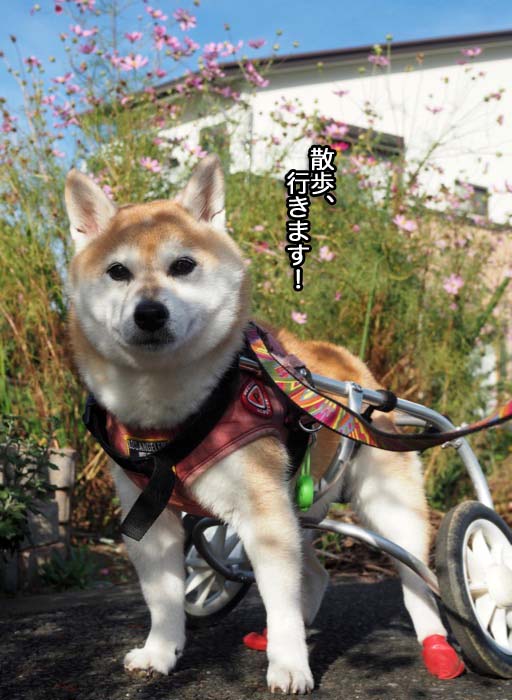 17日夜ブログ２