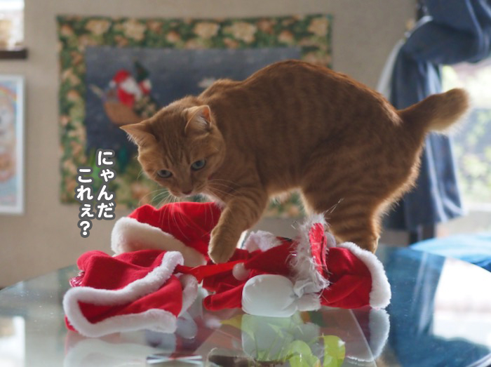 14日ブログ１