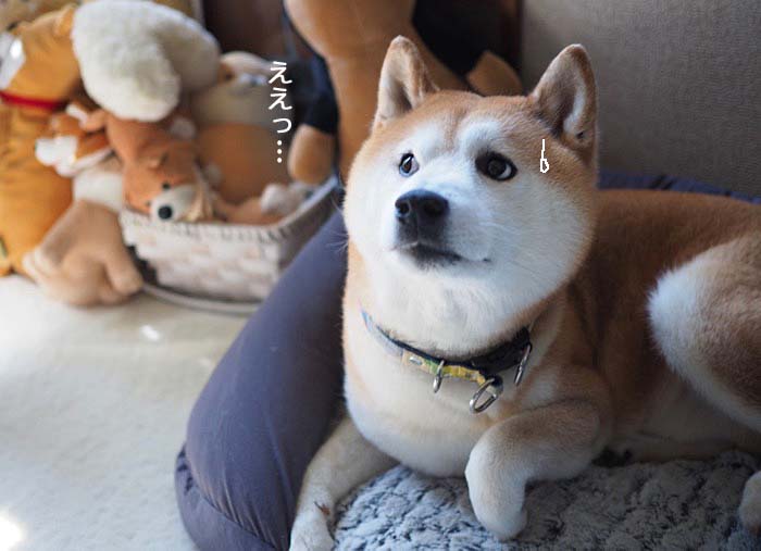 13日ブログ5