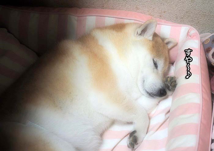 16日ブログ４