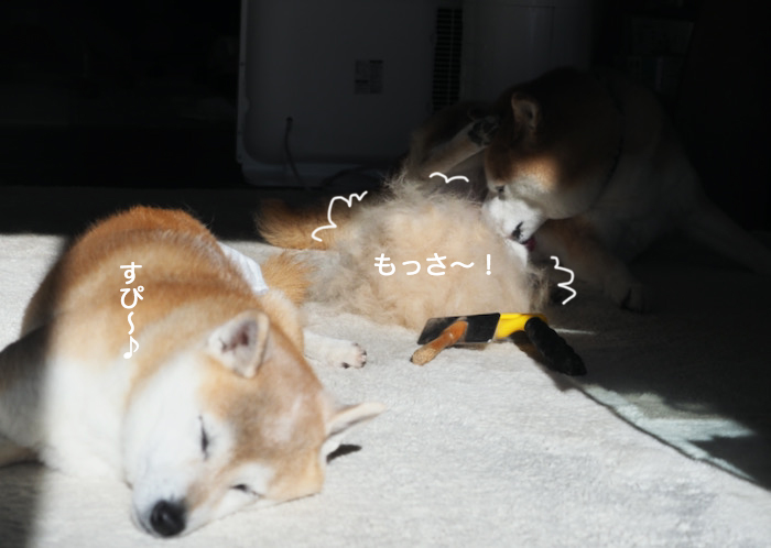 4日夕ブログ３