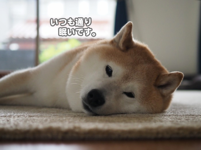 13日ブログ２