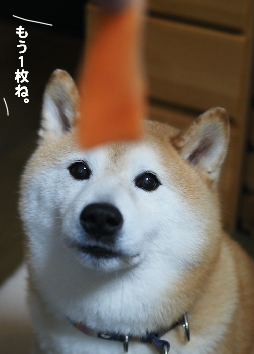 30日夜ブログ9