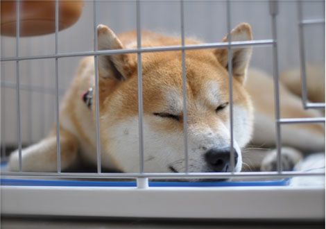 25日ブログ9.jpg