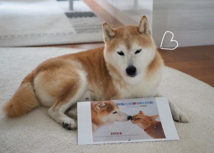 14日夕ブログ４
