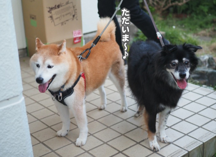 18日夕ブログ６