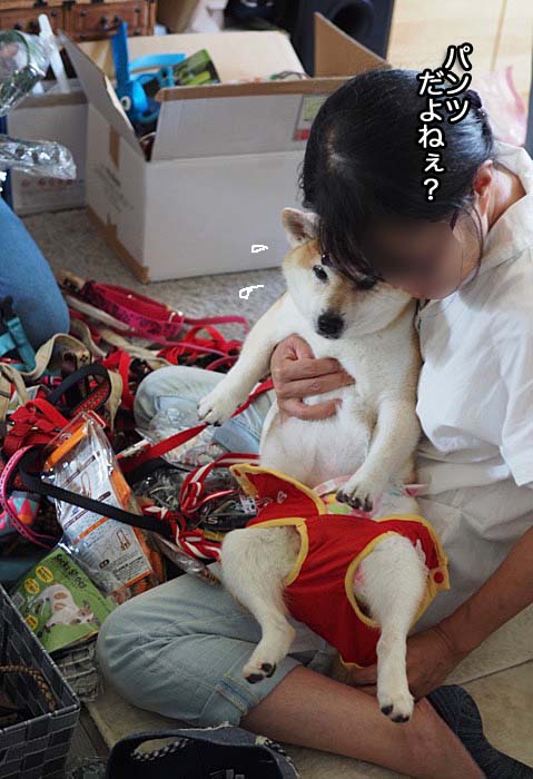 1日ブログ７