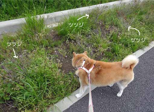 22日ブログ4.jpg