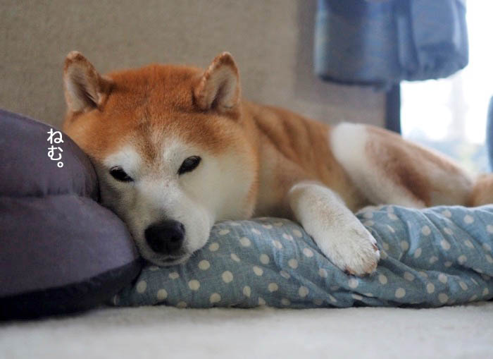 3日ブログ２