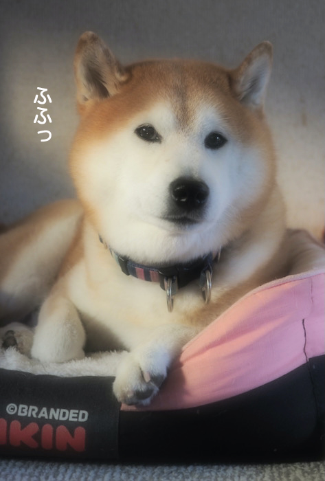 18日ブログ３