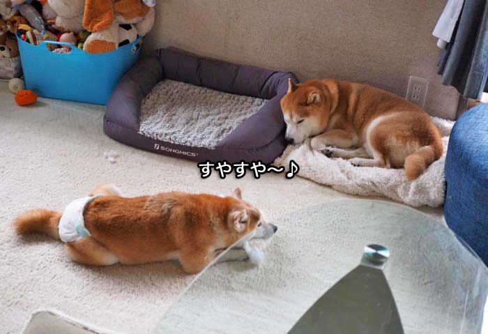 12日ブログ１２