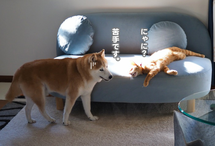 28日夕ブログ５