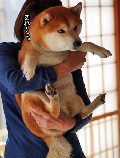 23日ブログ3.jpg
