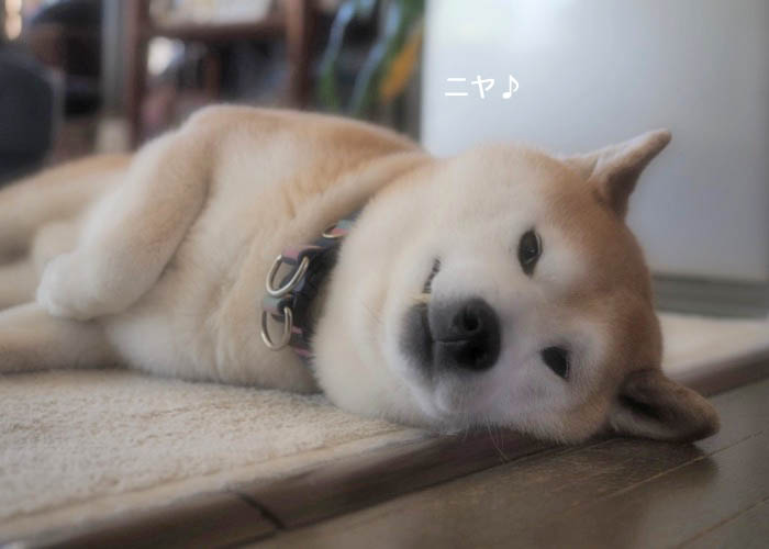 22日夜ブログ２
