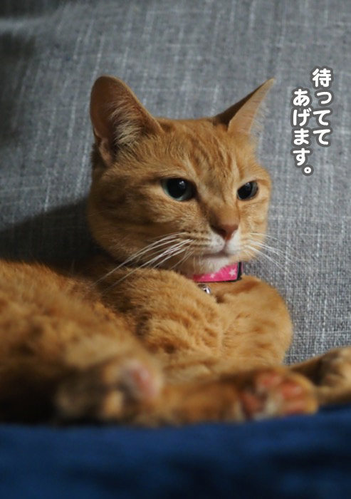 1日夕ブログ２
