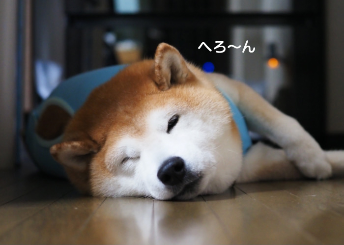 14日夜ブログ9