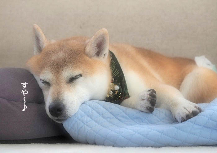 3日夕ブログ８