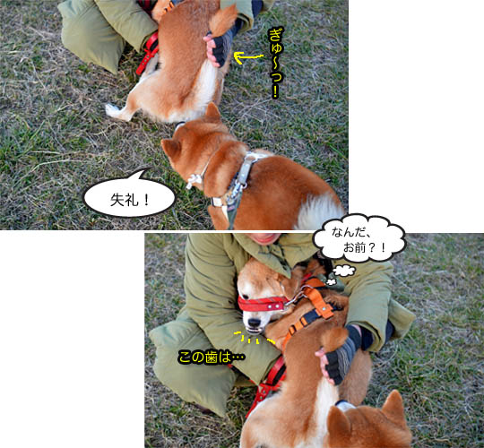 26日ブログ3.jpg