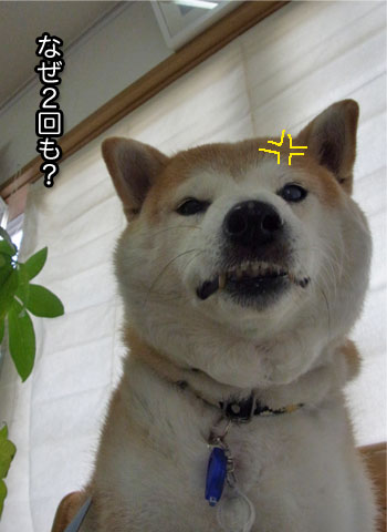 21日ブログ9.jpg