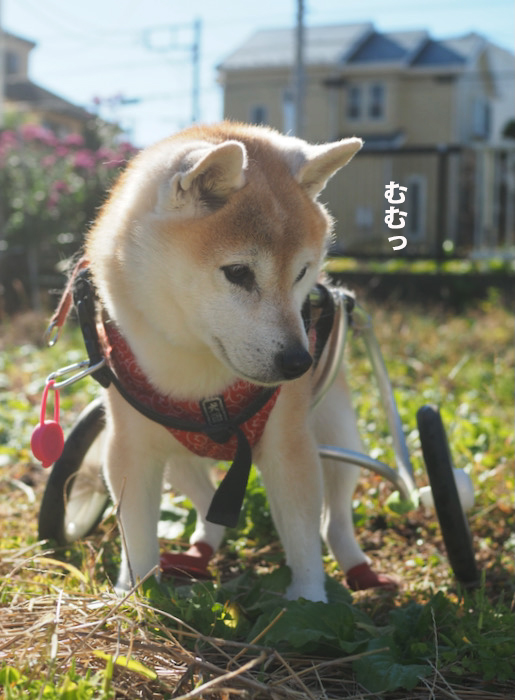13日ブログ２