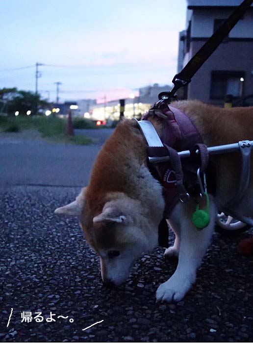 21日ブログ2