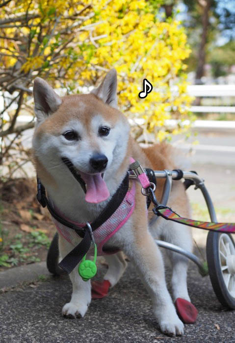 19日午後ブログ２