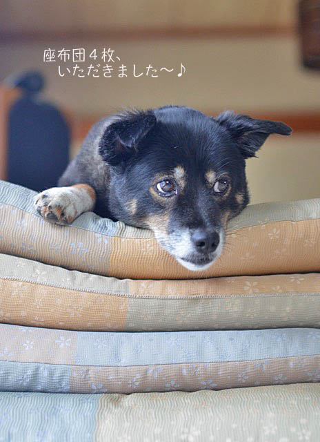31日ブログ2