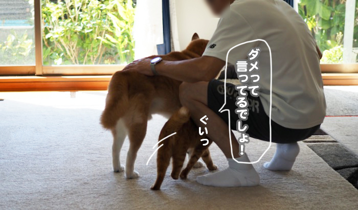 19日ブログ６