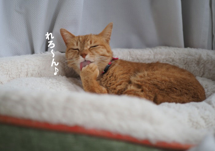 19日夕ブログ２