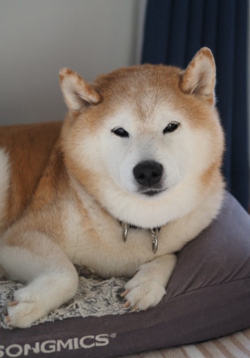 16日ブログ３