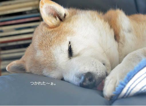 10日ブログ7.jpg
