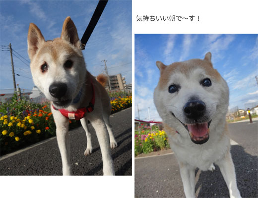 28日ブログ2.jpg