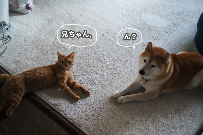 29日ブログ2