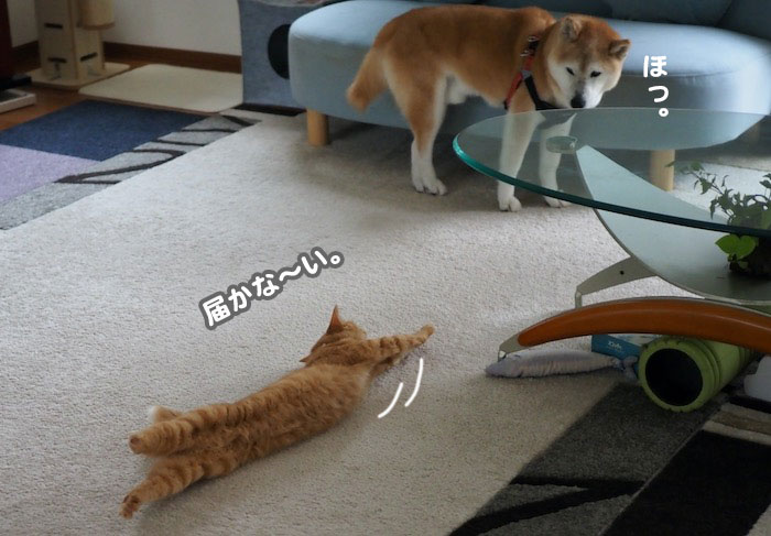 12日夕ブログ６