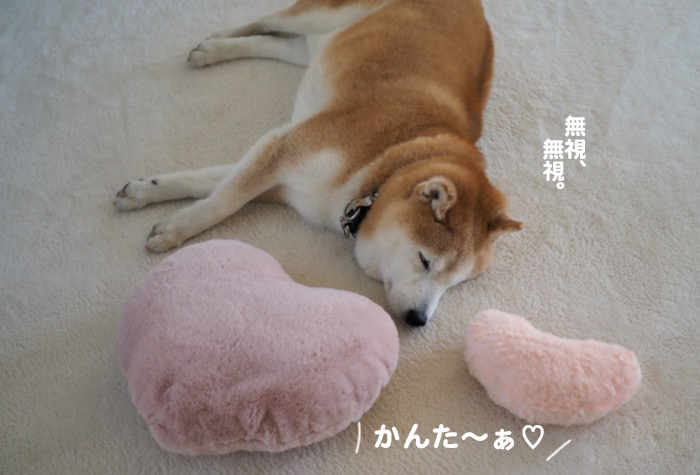15日夕ブログ５