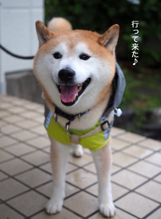 20日ブログ4