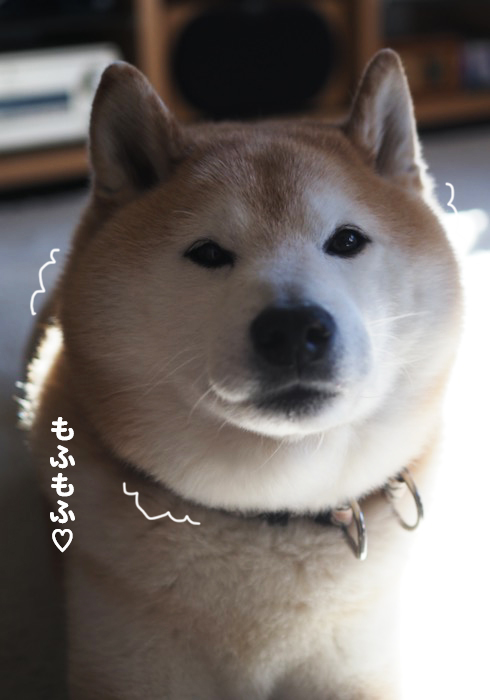 25日ブログ3