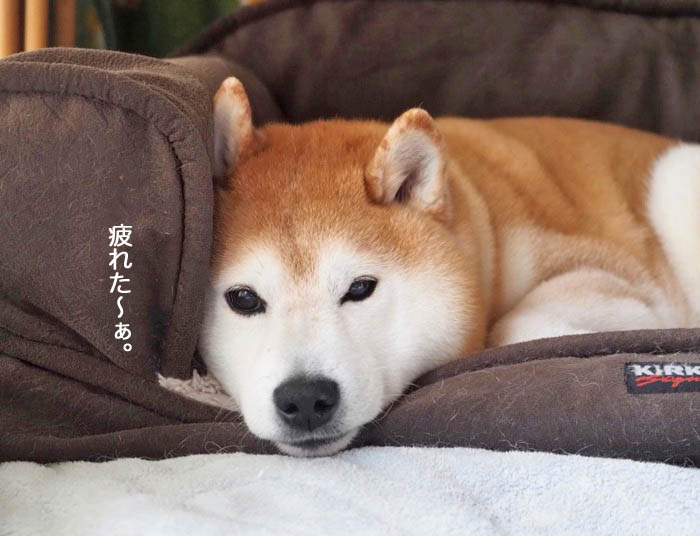 5日夜ブログ１