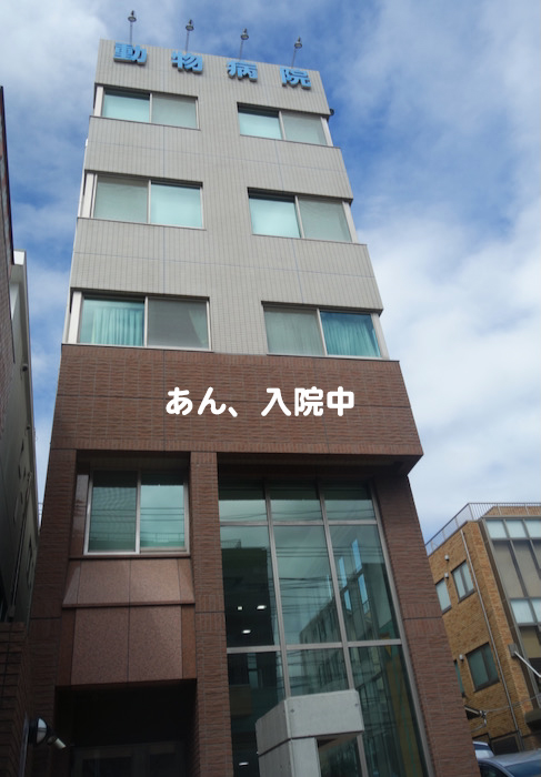 6日夜ブログ２