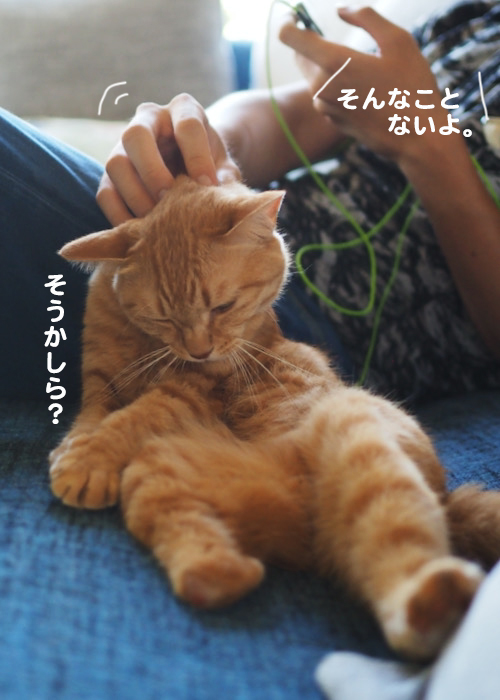 22日夕ブログ３
