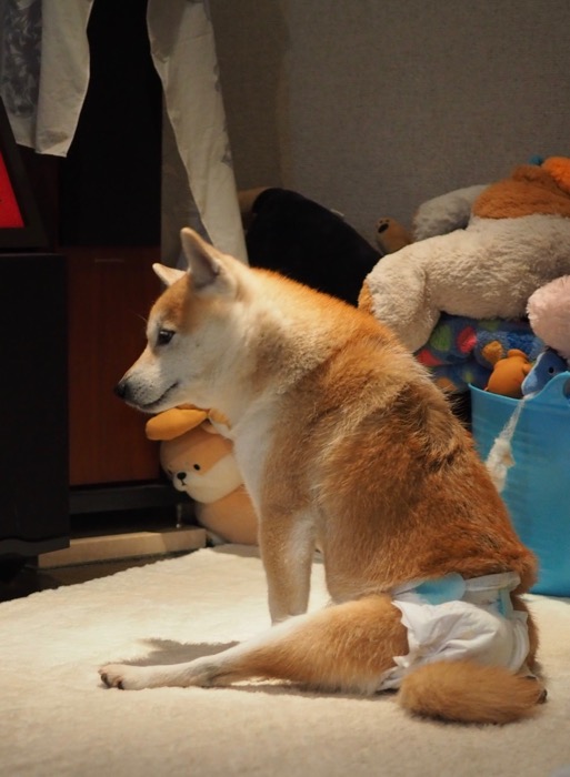 14日夕ブログ５