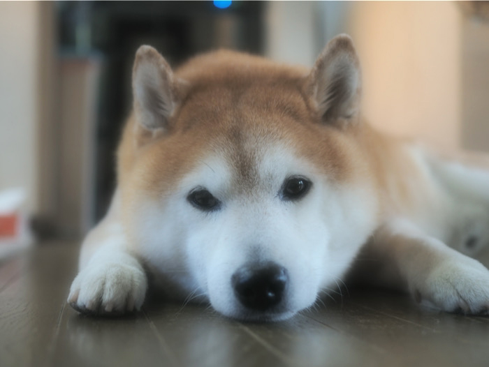 24日ブログ１