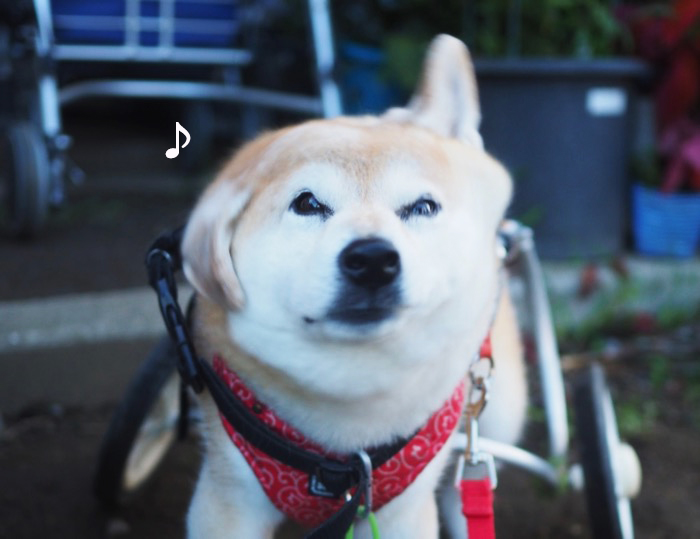 5日夜ブログ２