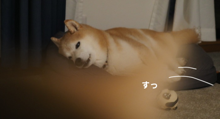 14日ブログ２