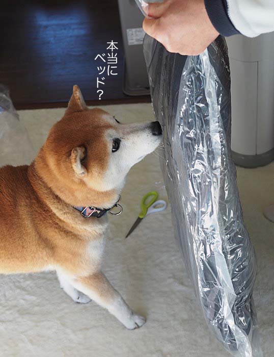 2日ブログ４