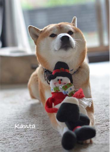 23日ブログ4.jpg